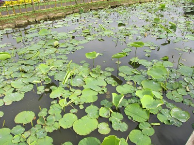 H300509(2)