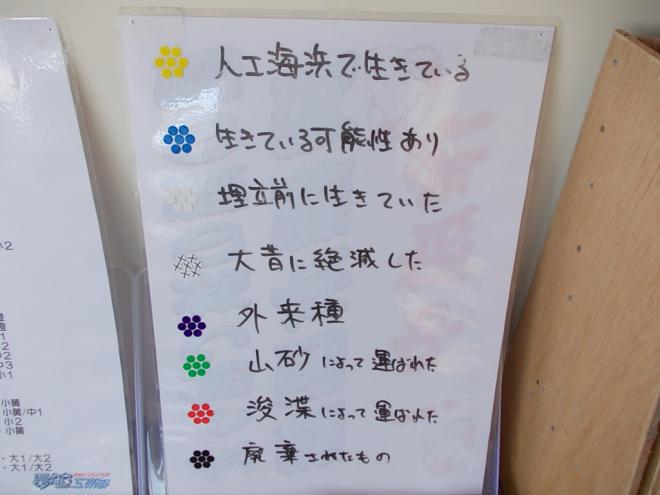 貝の由来
