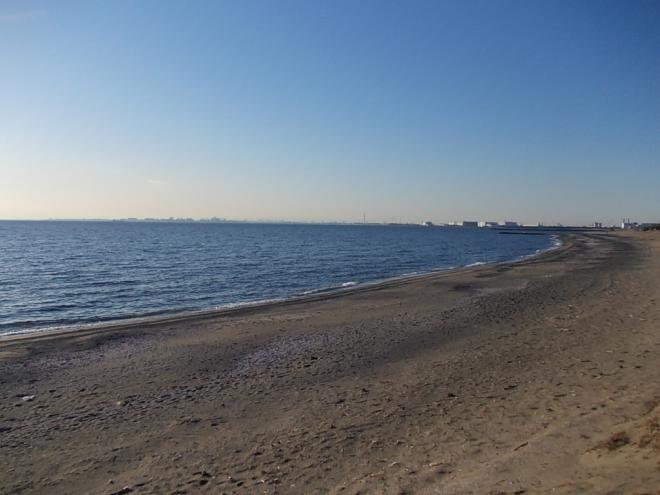 幕張の浜