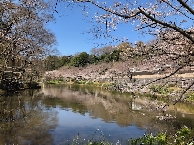 0320yatuike-4