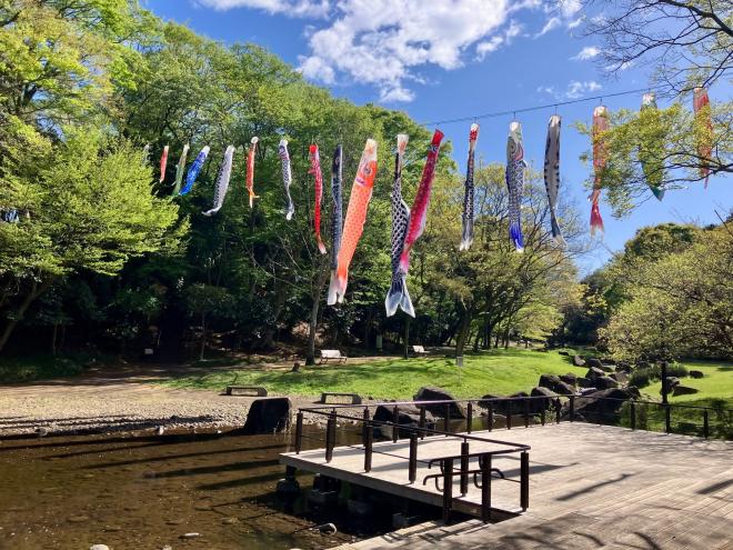0421koinobori2.jpg