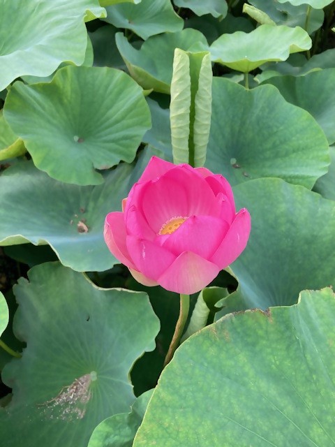 0614-1