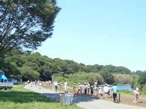 2021コスモス2