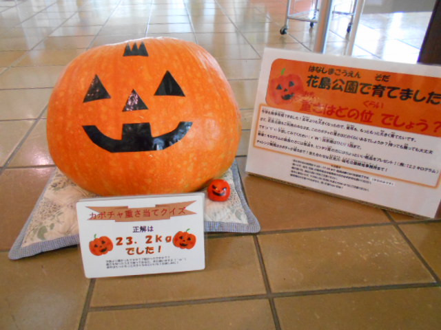 2021かぼちゃ