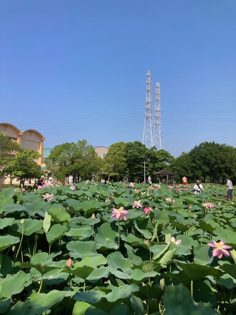 0629-1