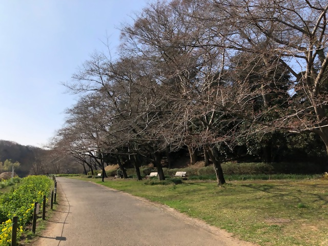 hnsm_R50316_1