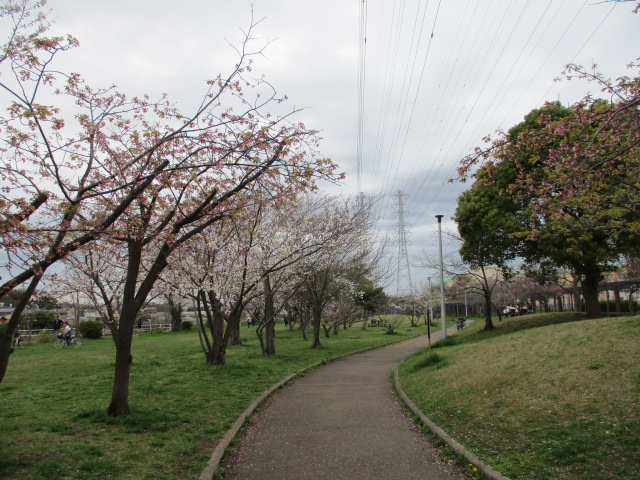 3.24-1