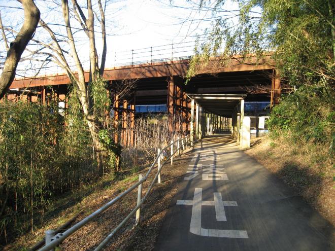 kashiwai1