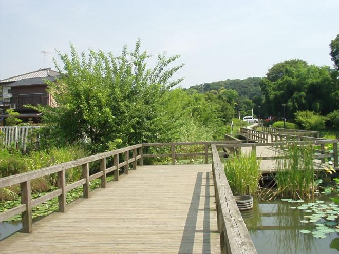 中島池
