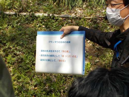 R2自然観察会2