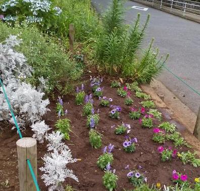 令和2年緑園ゾーン植え替え2
