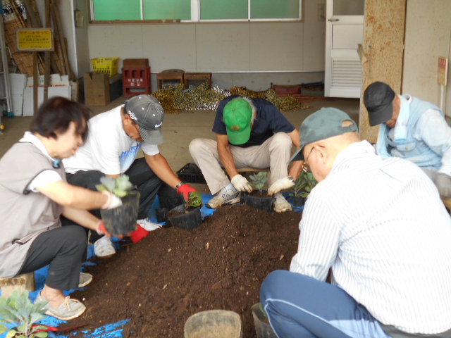 20191003はなの会土入れ