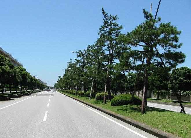 画像に関する簡単な説明