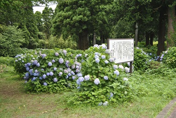 展望台付近の様子