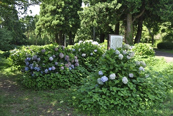 展望台付近の様子