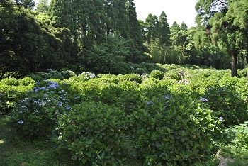 展望台付近からの様子