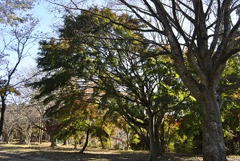 冒険広場付近