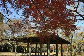 市町村の森