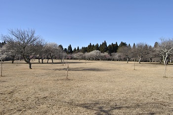全体の様子