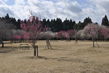 全体の様子