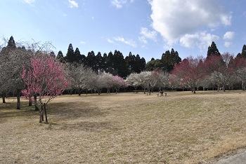全体の様子