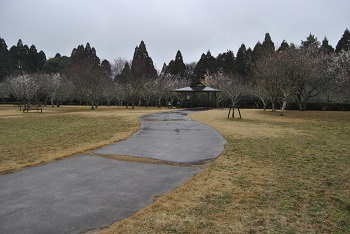全体の様子