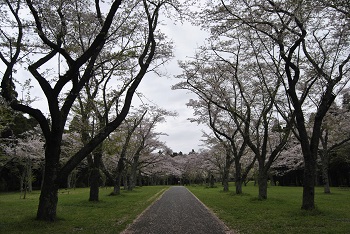 お花見広場
