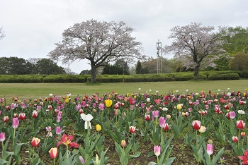 太陽の広場