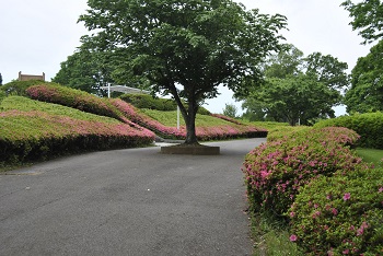 展望台下