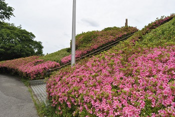 展望台下