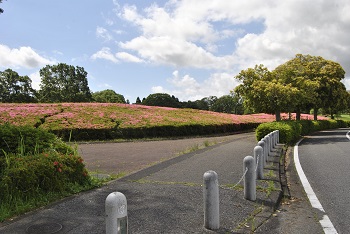 第2駐車場へと向かう園路側