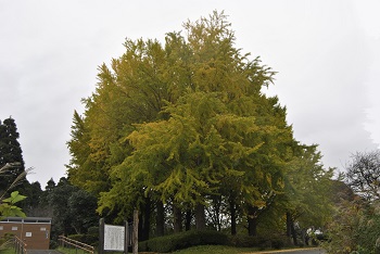 お花見広場手前