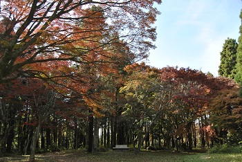 冒険広場（もみじ広場）