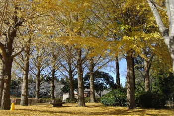 お花見広場手前