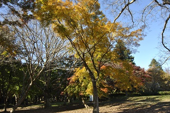 冒険広場