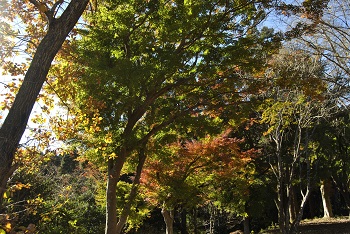 冒険広場