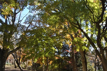 冒険広場