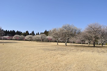 全体の様子