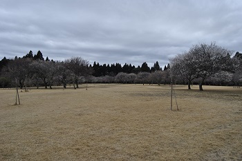 全体の様子