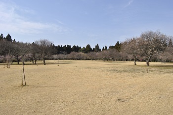 全体の様子