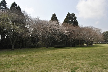 太陽の広場