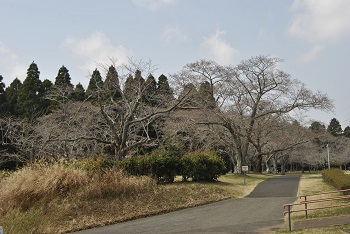 お花見広場入り口