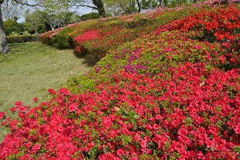 太陽の広場