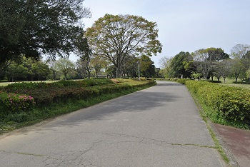 太陽の広場園路の様子
