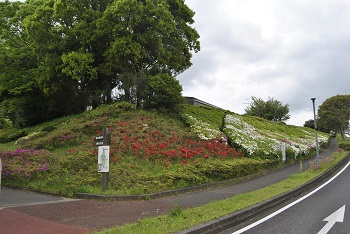 昭和の森入り口