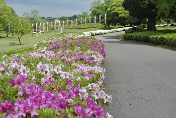 太陽の広場（園路）