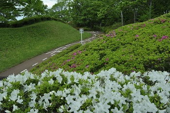 サイクリングコース