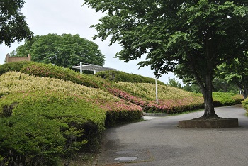 展望台下の様子