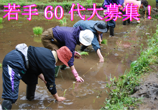 ビオトープの会募集HP