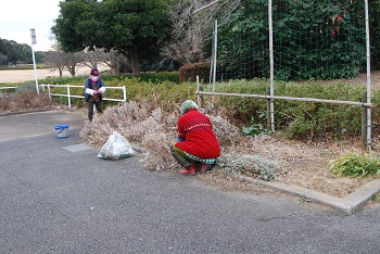 作業の様子